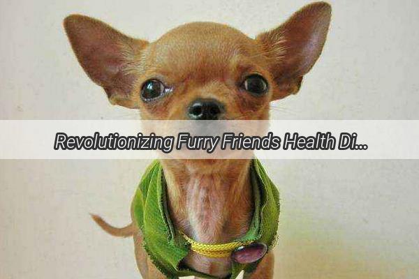 Revolutionizing Furry Friends Health Discover the Latest Treatments for Canine Stomach Tumors